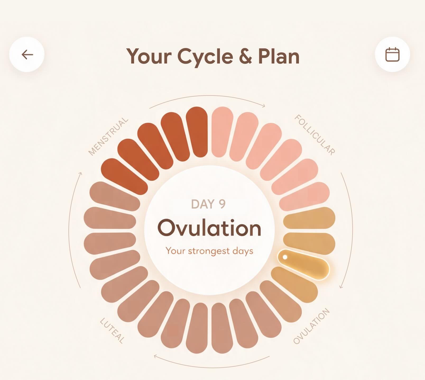 Glow cycle overview with cycle phases and a daily plan